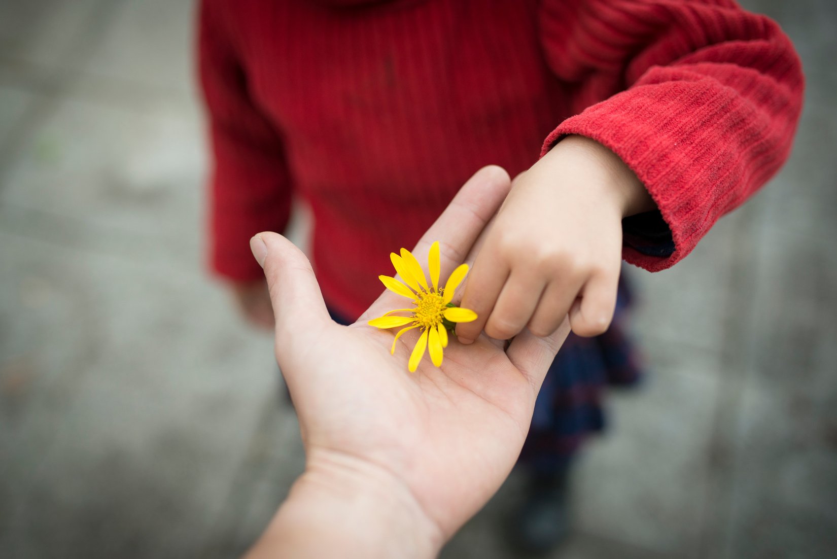 Parent and child handing yellow flower